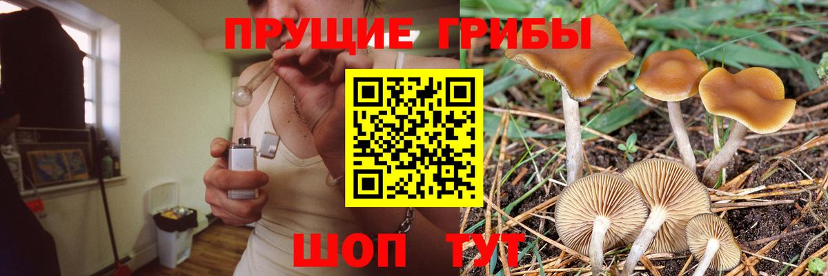 Псилоцибиновые грибы ЛСД Назарово